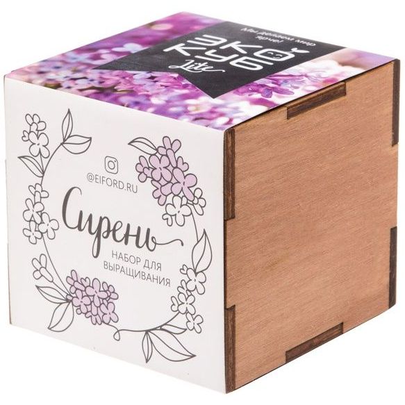Набор для выращивания «Экокуб Lite», сирень - фото
