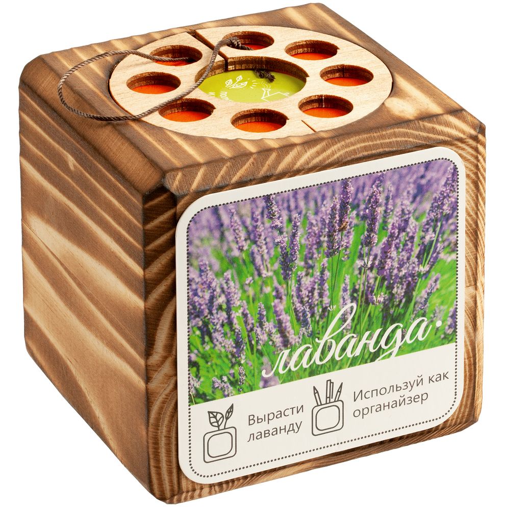 Набор для выращивания с органайзером «Экокуб Burn» - фото