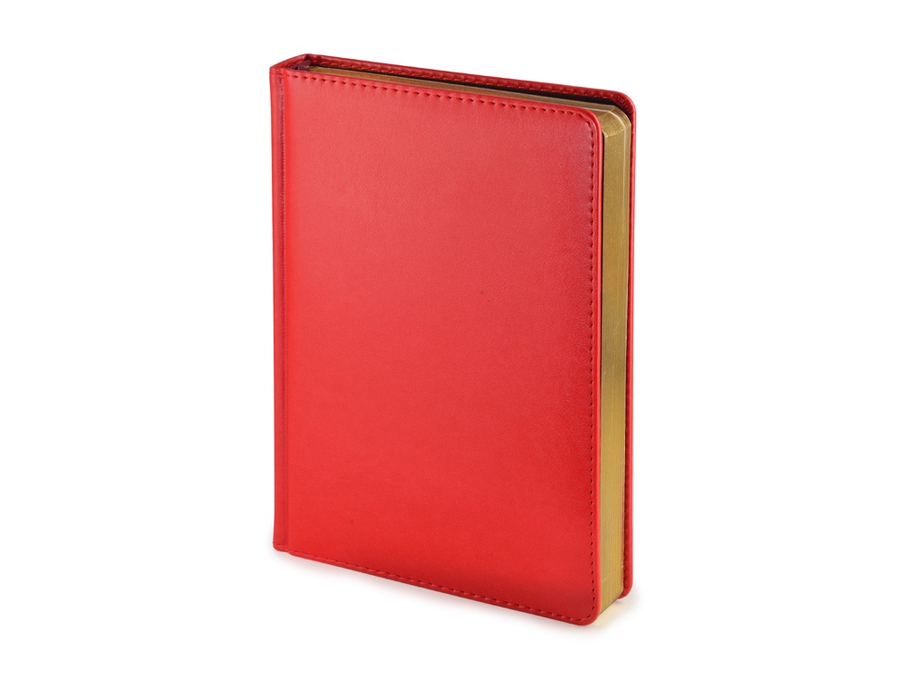 Ежедневник недатированный А5 «Parliament» - фото