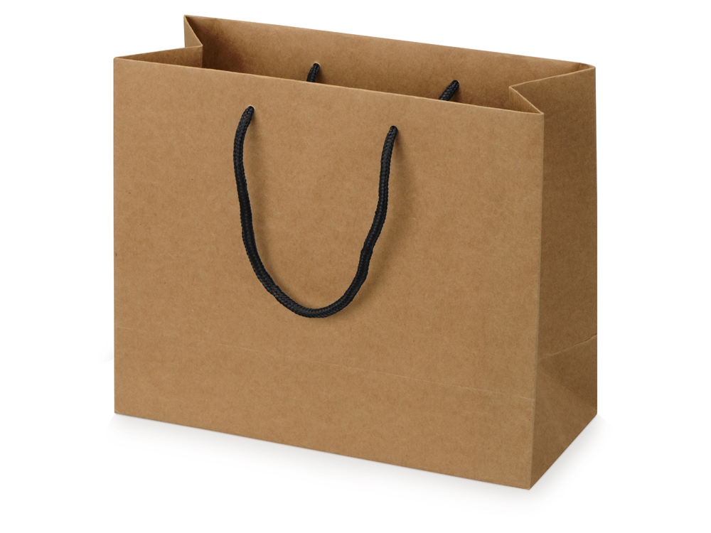 Пакет подарочный Kraft M - фото