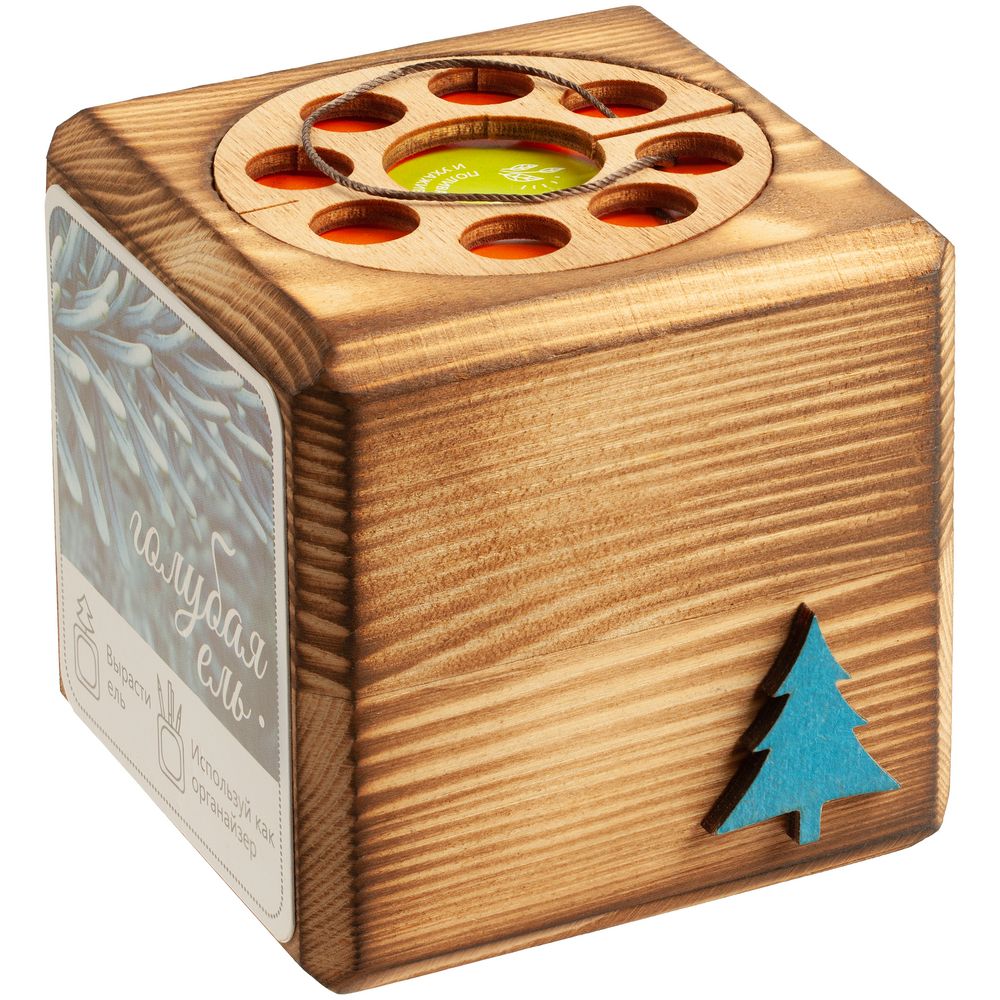 Набор для выращивания с органайзером «Экокуб Burn» - фото