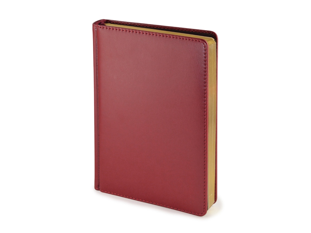 Ежедневник недатированный А5 «Parliament» - фото