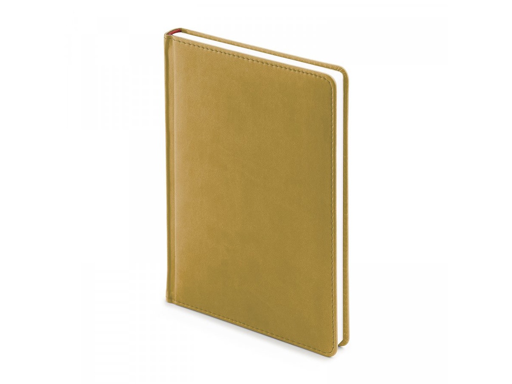 Ежедневник недатированный А5 Velvet - фото