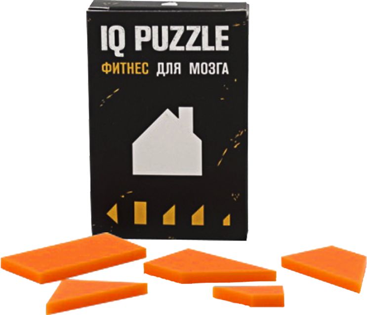 Головоломка IQ Puzzle, домик - фото