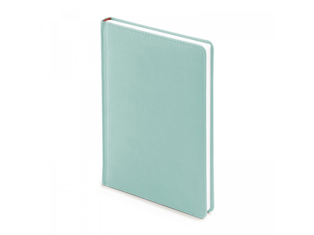 Ежедневник недатированный А5 Velvet - фото