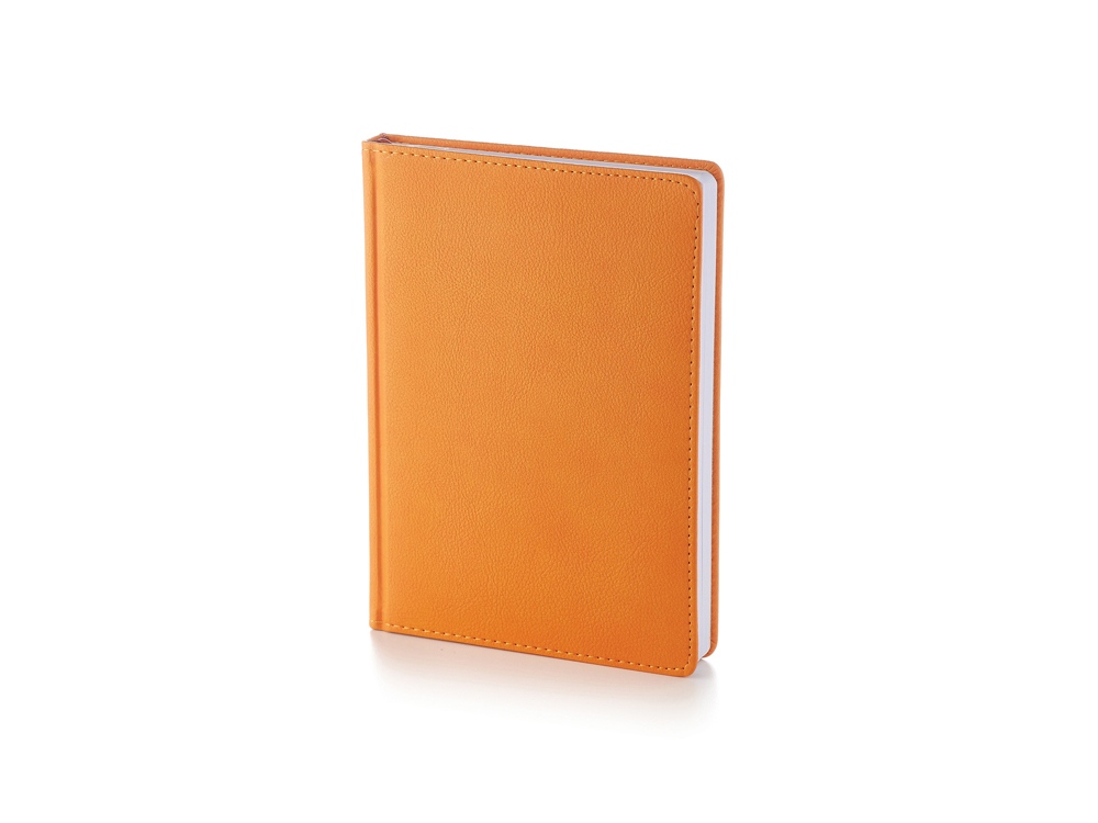 Ежедневник недатированный А5 «Leader» - фото