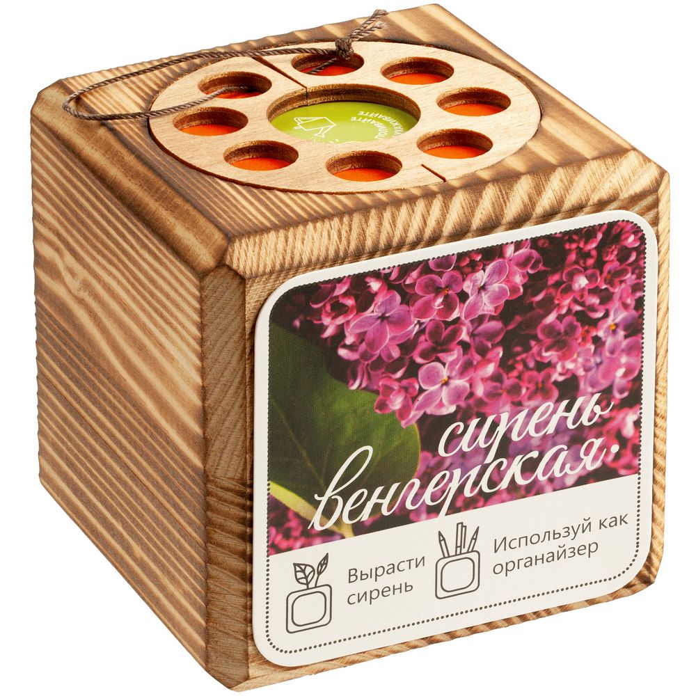 Набор для выращивания с органайзером «Экокуб Burn» - фото